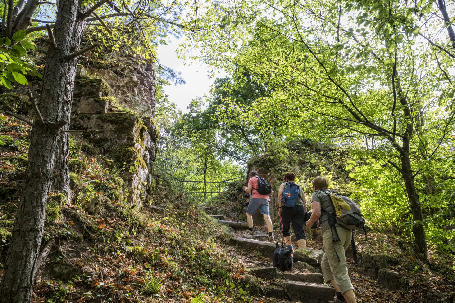 5 jours d'itinérance sur le GR 53 et GR 5 sans bagages - Traces