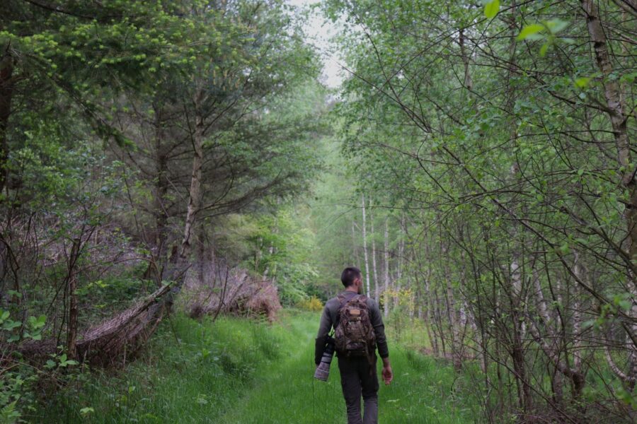 Guided hike in the Northern Vosges - Credit Paul Oblinger